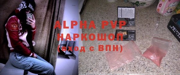 ГАЛЛЮЦИНОГЕННЫЕ ГРИБЫ Бородино