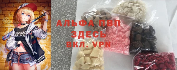 ГАЛЛЮЦИНОГЕННЫЕ ГРИБЫ Бородино